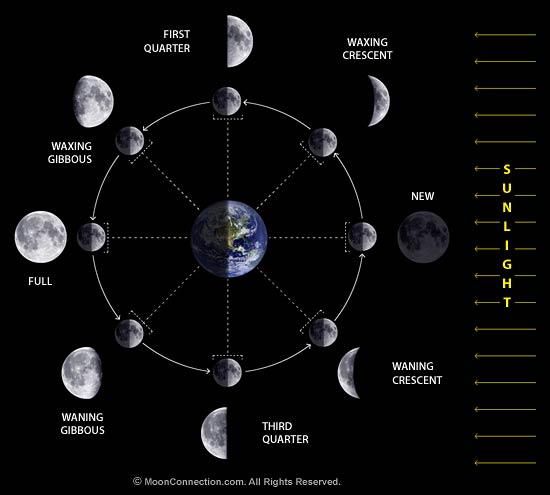 moon_phases_diagram